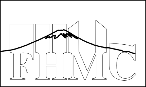 Extension of "FHMC".